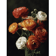 thumbnail image 1 of Ranunculus Flower Canvas Print Wall Art for Living Room Office Hotel Lobby, 1 of 8