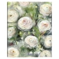 thumbnail image 1 of Ranunculus I by Studio Arts Canvas Art Print, 1 of 4