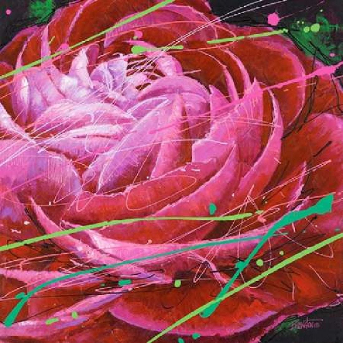 Ranunculus in Motion Canvas Art - Bruce Langton (24 x 24)
