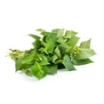 thumbnail image 1 of 99 Ranch Rap-Ca Fresh Herbs, Vietnamese Coriander (Rau Ram), Aromatic Garnish For Pho, Spring Rolls, Salads, 1 bundle, 1 of 1