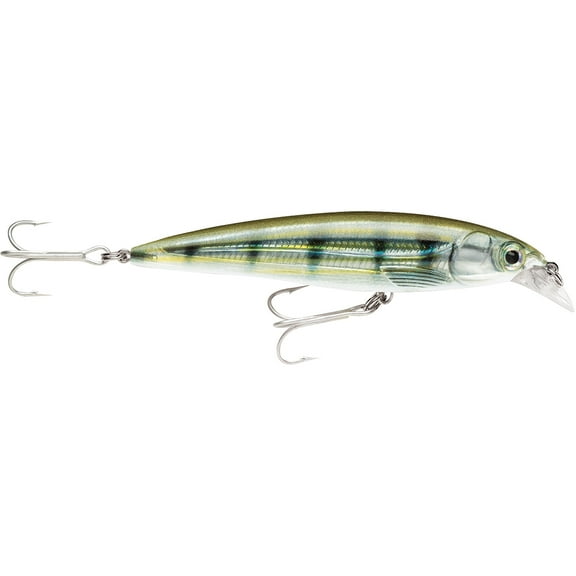 Rapala 5 1/4 Inch X-Rap Saltwater Fishing Lure - Pinfish