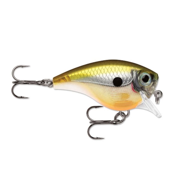 Rapala BX Brat Lure Model 03