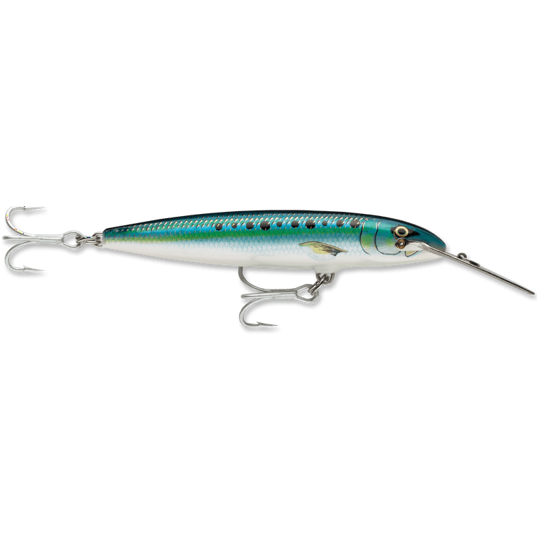 https://i5.walmartimages.com/seo/Rapala-CountDown-Magnum-11-Fishing-Lure-Sardine-4-3-8-Sinking_12fabae4-0624-4003-acac-64083c71149a_1.189271d9cfdd5916d01c27991a33b1ae.png?odnHeight=768&odnWidth=768&odnBg=FFFFFF