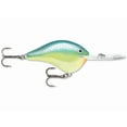 thumbnail image 1 of Rapala DT Custom Ink 20, 1 of 11