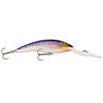 thumbnail image 1 of Rapala Deep Tail Dancer 11 Hard Bait Fishing Lure 4-3/8" 3/4oz Purpledescent, 1 of 2