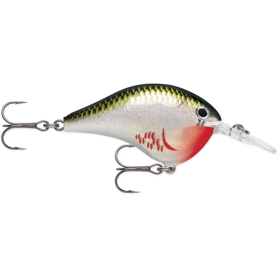 Rapala Dives-To Crankbait 06 Bleeding Olive Shiner