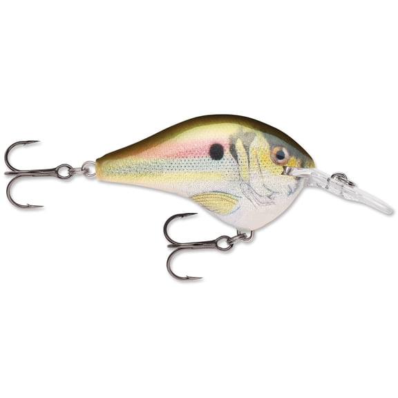 Rapala Dives-To Crankbait 06 Live River Shad
