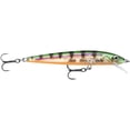 thumbnail image 1 of Rapala Husky Jerk 12 Fishing Lure - Glass Perch, 1 of 4