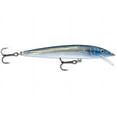 thumbnail image 1 of Rapala Husky Jerk 10 Fishing Lure 4" 3/8oz Helsinki Ghost, 1 of 9