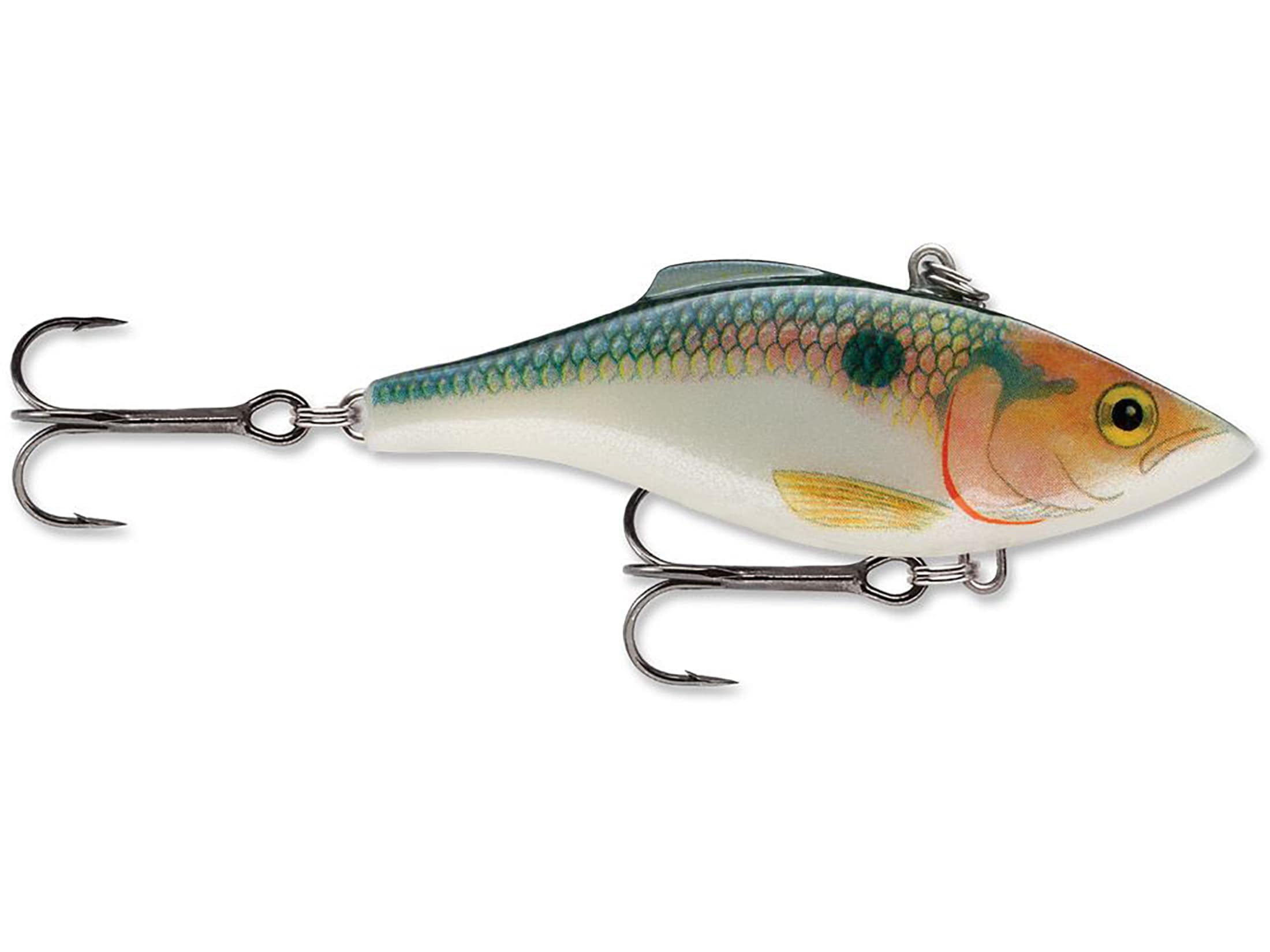 Hard To Find Rapala Rattlin Fat Rap RFR-5 SB Silver Blue (Scaled) Ireland Made - Foto 12