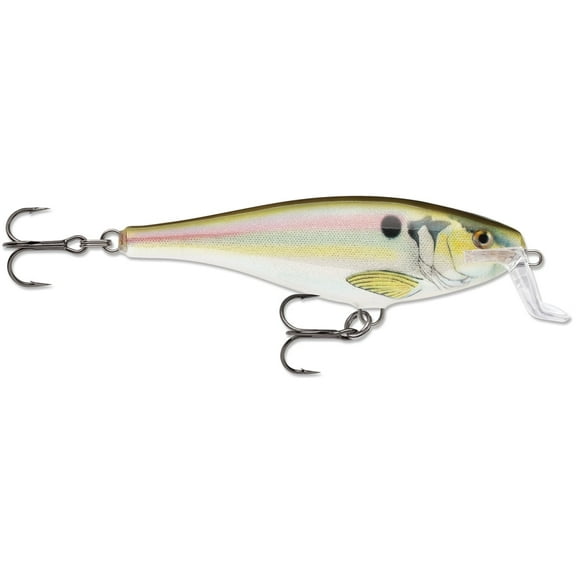 Rapala Super Shad Rap 14 Crankbait Live River Shad