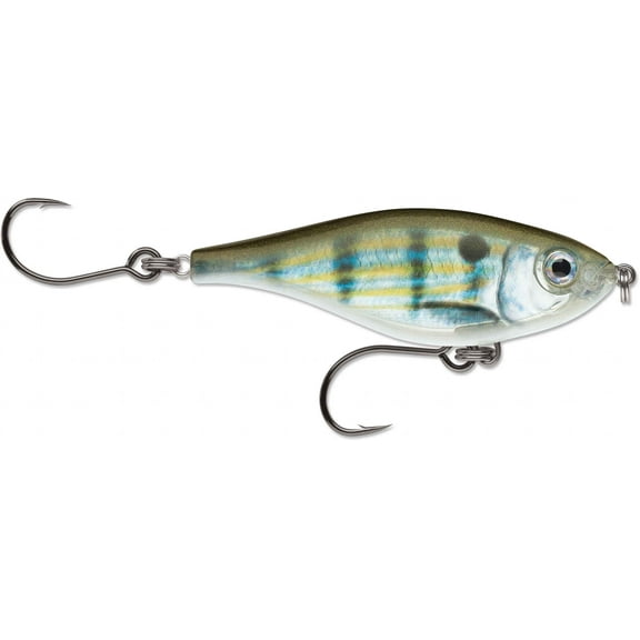 Rapala SXRTM08PF X-Rap Twitchin' Mullet 8 Fishing Lure Slow Sinking 7/16 oz