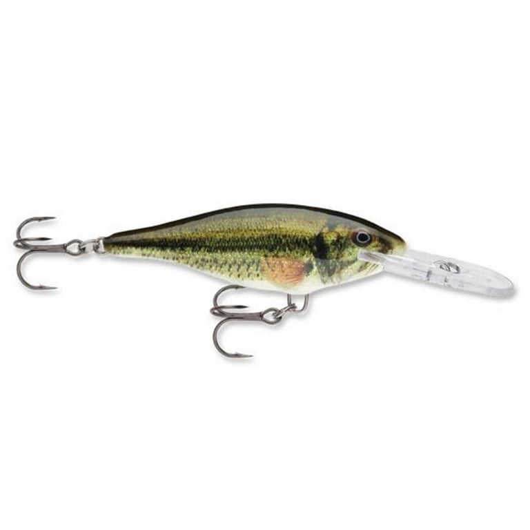 Bass Live Shad For Sale Online Fresh Water Buy Live Bait Fish