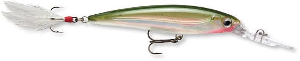 Rapala X-Rap Deep 10 Fishing Lure - Silver Color, Deep Diving Crankbait For Freshwater