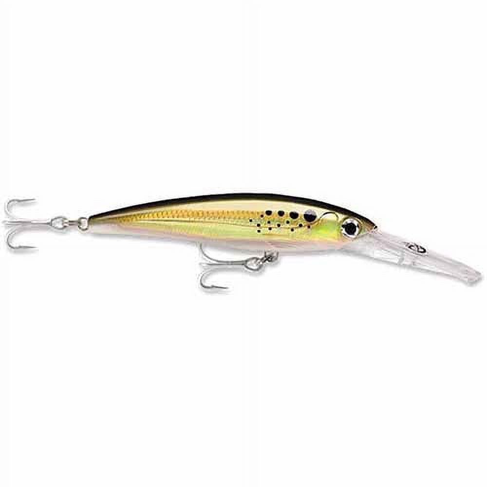 Rapala X-Rap Magnum 20 5.5" 1 1/4oz Bunker