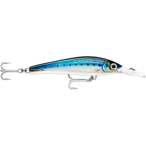 Rapala X-Rap® Magnum® Xtreme 6-1/4" HD Blue Sardine | Bundle of 5 Each