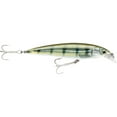 thumbnail image 1 of Rapala X-Rap Saltwater 08 Jerkbait Pinfish, 1 of 3