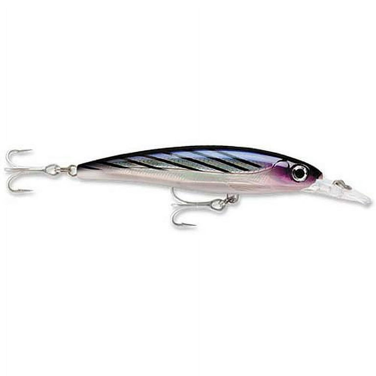 Rapala XRMAG30BTO X-Rap Magnum 30 Trolling Fishing Lure Deep Diver 6 1/4 2  1/2 