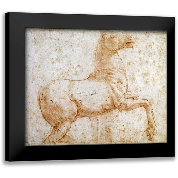 Raphael 18x15 Black Modern Framed Museum Art Print Titled - Study of One of The Quirinal Marble Horses