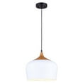 thumbnail image 1 of Raphael Ipl614A01Wh 1 Lt Cord Pendant White Aluminun Shade 100W Type A 11, 1 of 2