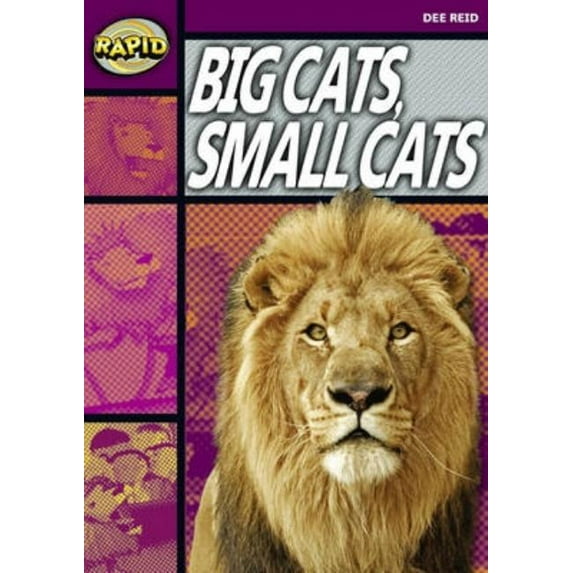 Rapid Rapid Reading: Big Cats Small Cats (Stage 1, Level 1a), (Paperback)