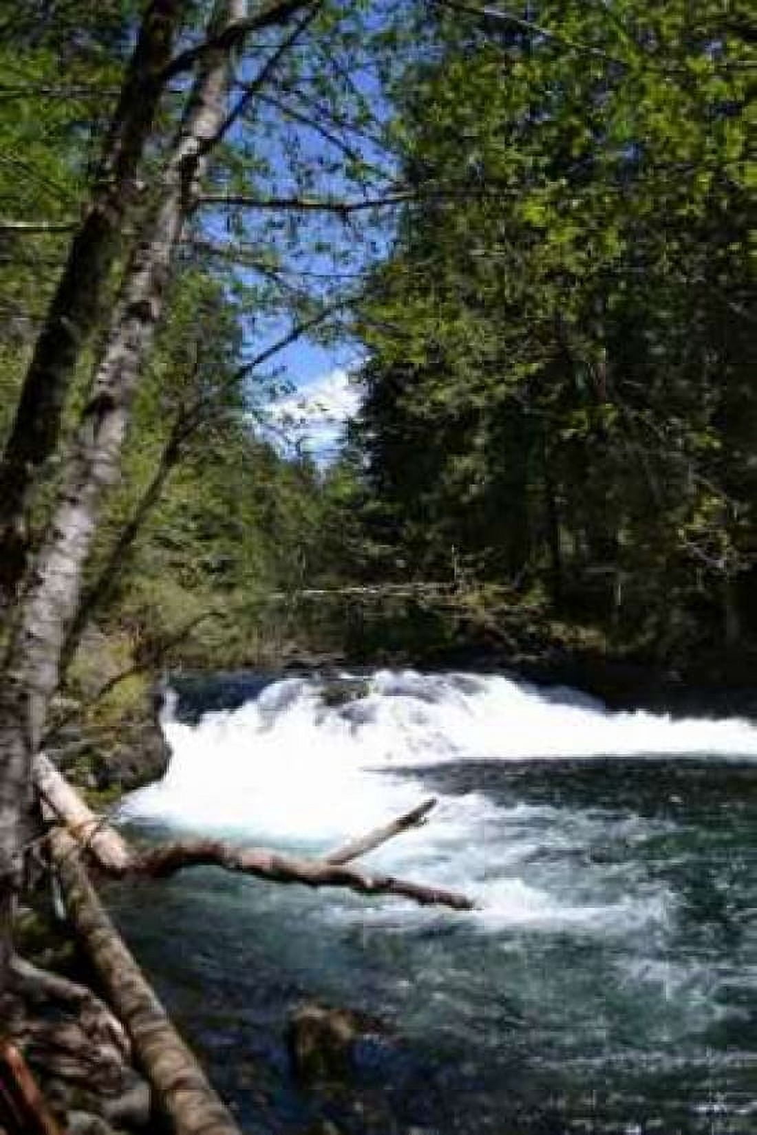 Rapids II Canvas Art - Brian Moore (24 x 36)