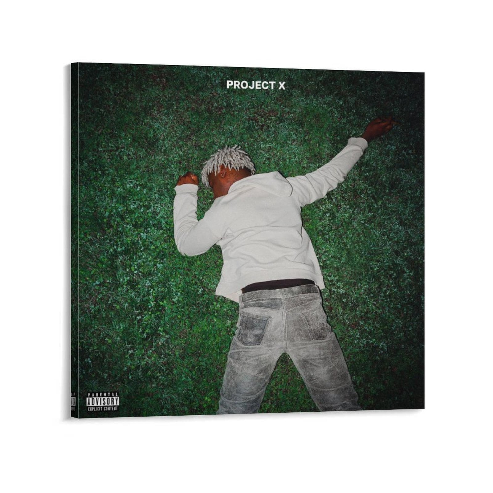 Gift Netted Rapper Cover Rapper Ken Carson Rap Hip Hop Project X Music Album Cover Poster ...