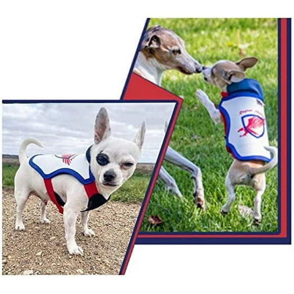 Raptor Shield Puncture Resistant Pet Vest for Small Dogs — Medium(Blue)