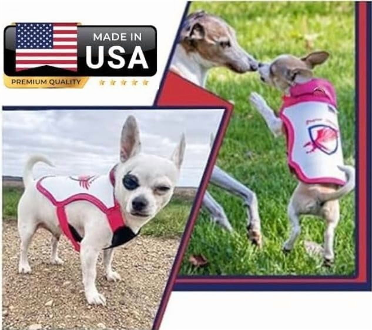 Raptor Shield Vest Small, Lightweight, X-Small (Pink) , 2-3 lbs, 7.5 to 10.5"