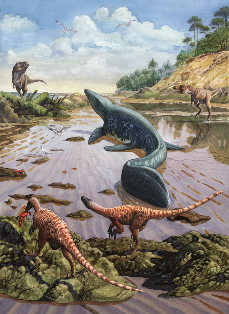 Raptors attack a vulnerable Mosasaurus that remained aground at low tide Canvas Art - Sergey KrasovskiyStocktrek Images (25 x 34)