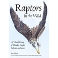thumbnail image 1 of Raptors in the Wild: A Visual Essay of Hawks, Eagles, Falcons and More (Paperback), 1 of 1