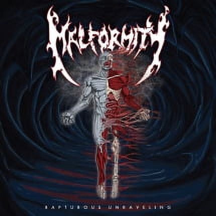 Rapturous Unraveling - Vinyl (7-Inch)