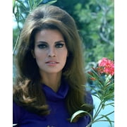 Raquel Welch 24X36 Classic Hollywood Poster 1968 Portrait In Purple Outfit