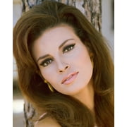 Raquel Welch 24X36 Classic Hollywood Poster Beautiful Portrait