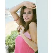 Raquel Welch 24X36 Classic Hollywood Poster Classic 1960s Pose