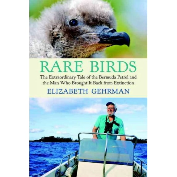 Rare Birds : The Extraordinary Tale of the Bermuda Petrel and the Man Who Brought It Back from Extinction (Paperback)