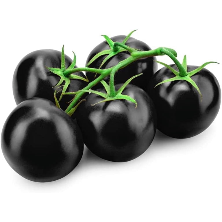 CZ Grain, Rare Black Tomato Seeds, 50+ Seeds, Ships from Iowa