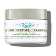 Rare Earth Deep Pore Cleansing Mask, PoreMinimizing Face Mask for Clogged Pores, Detoxifies