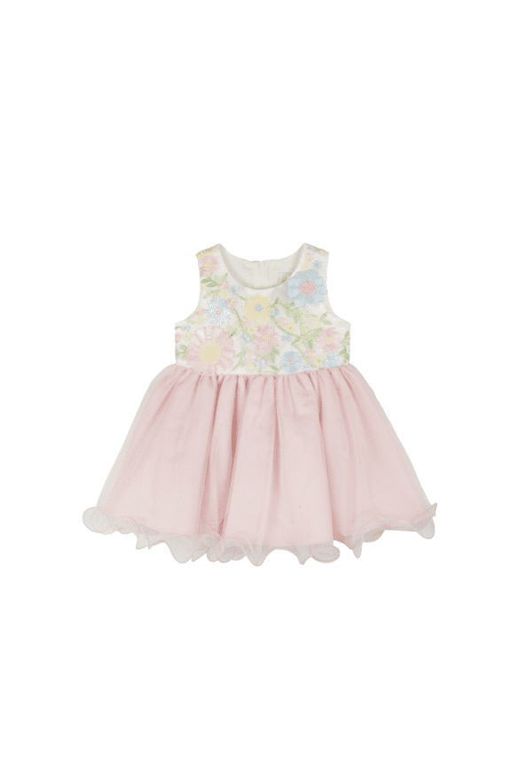 Baby Girls Sleeveless 3D and Embroidered Floral Social Dress - Blush