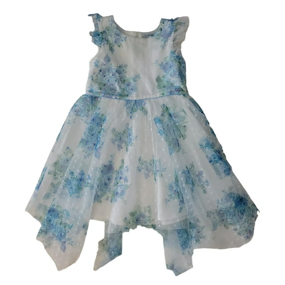 Rare Editions Baby/Toddler Occasion Lined Lightweight Dress (Blue Floral, 2T)