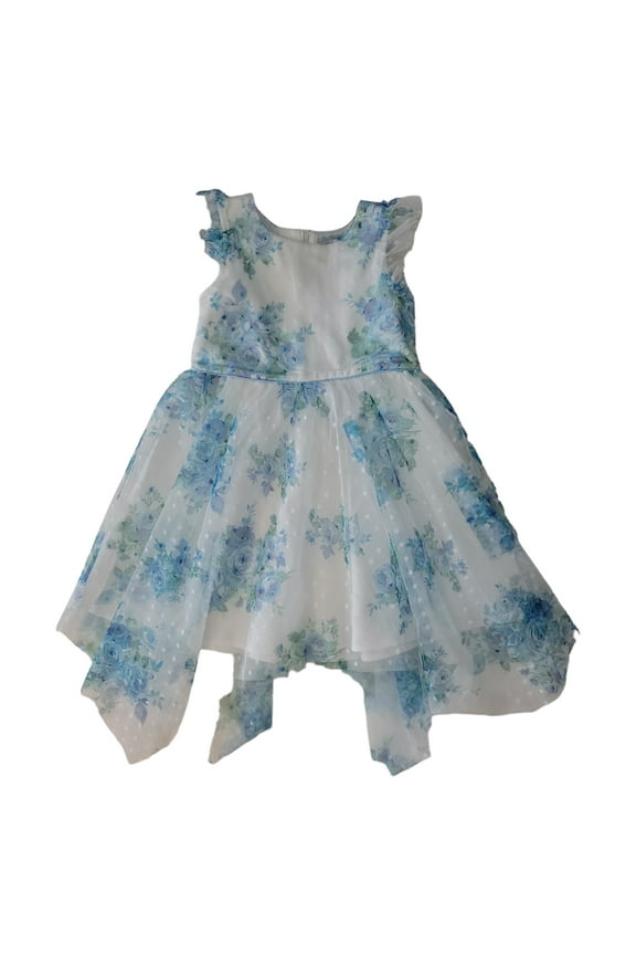 Baby/Toddler Occasion Lined Lightweight Dress (Blue Floral, 4T)