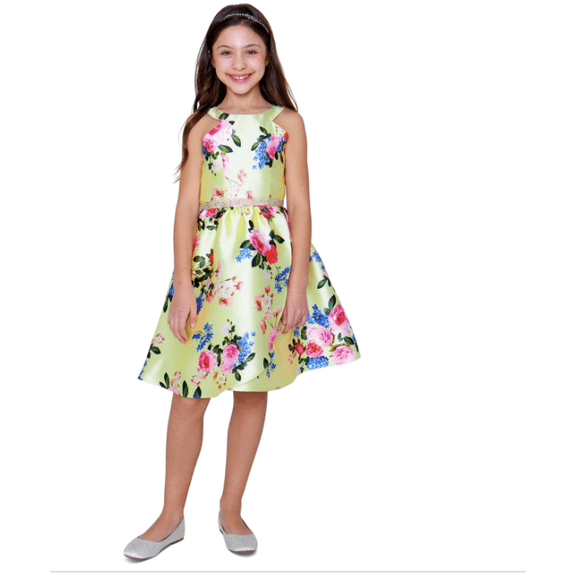 Rare Editions Big Girls Printed Floral Mikado a-line Dress