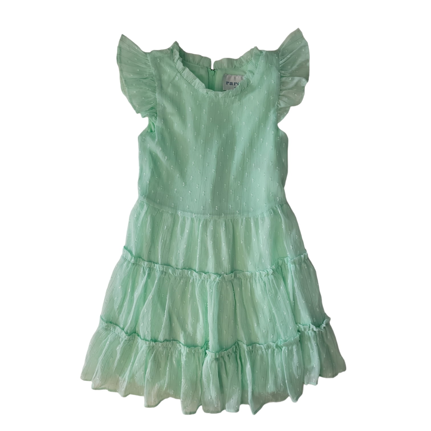 Rare Editions Girls Chiffon Ruffled Sleeve Lined Skirt Dress (Mint Ruffle,  XS) - Walmart Business Supplies