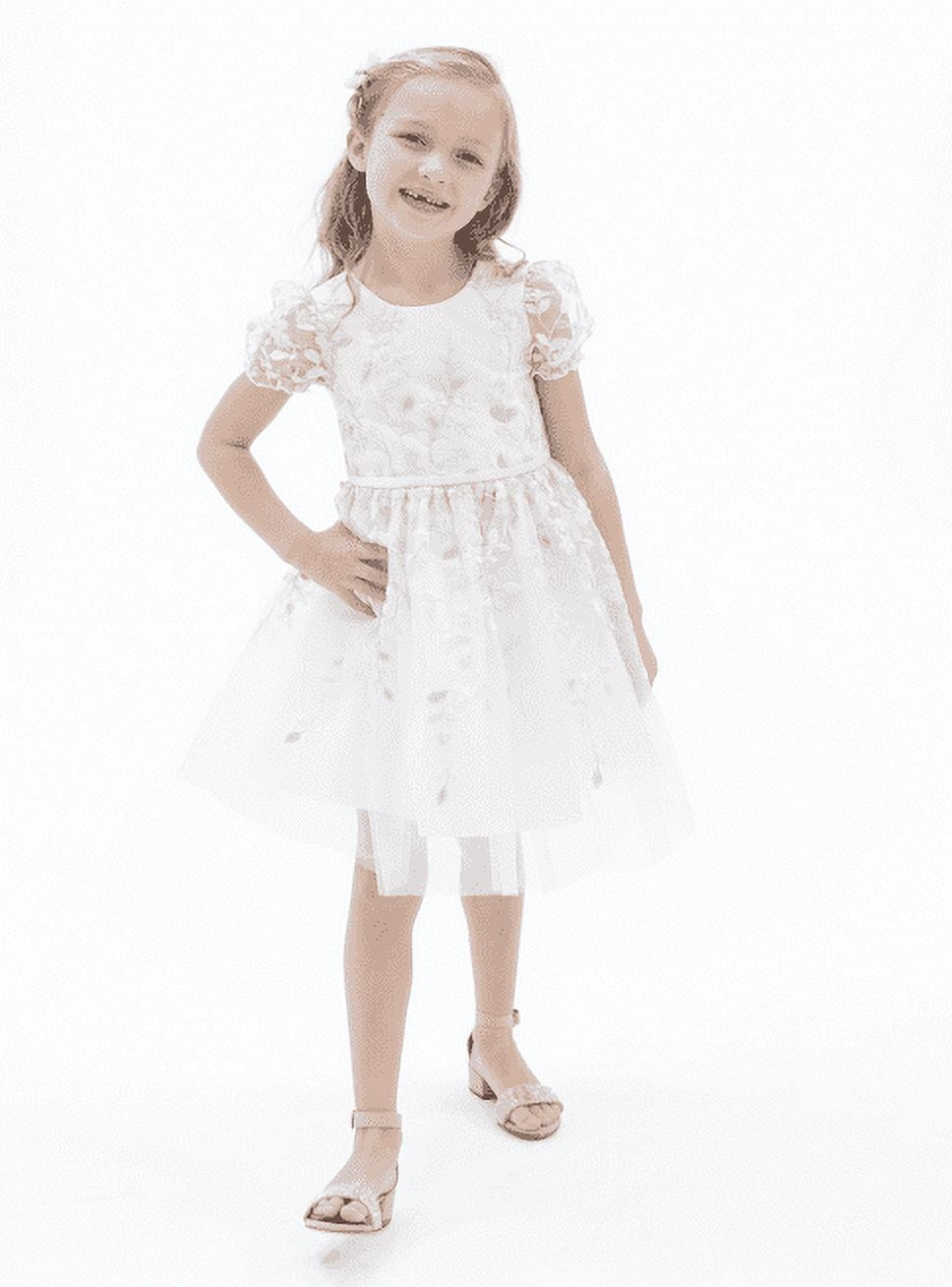 Rare Editions Toddler Girls Puff Sleeves Floral Embroidered Mesh Social Dress - Blush - Size 2T