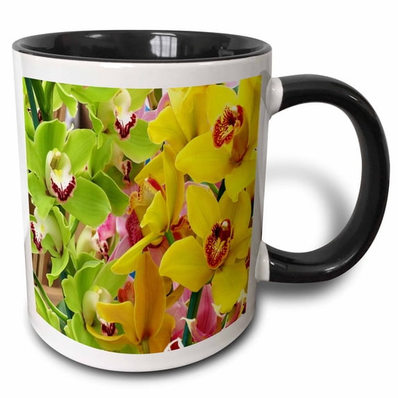 3drose, Rare Green with Yellow Tropical Orchids, 15oz Two-tone Black Mug