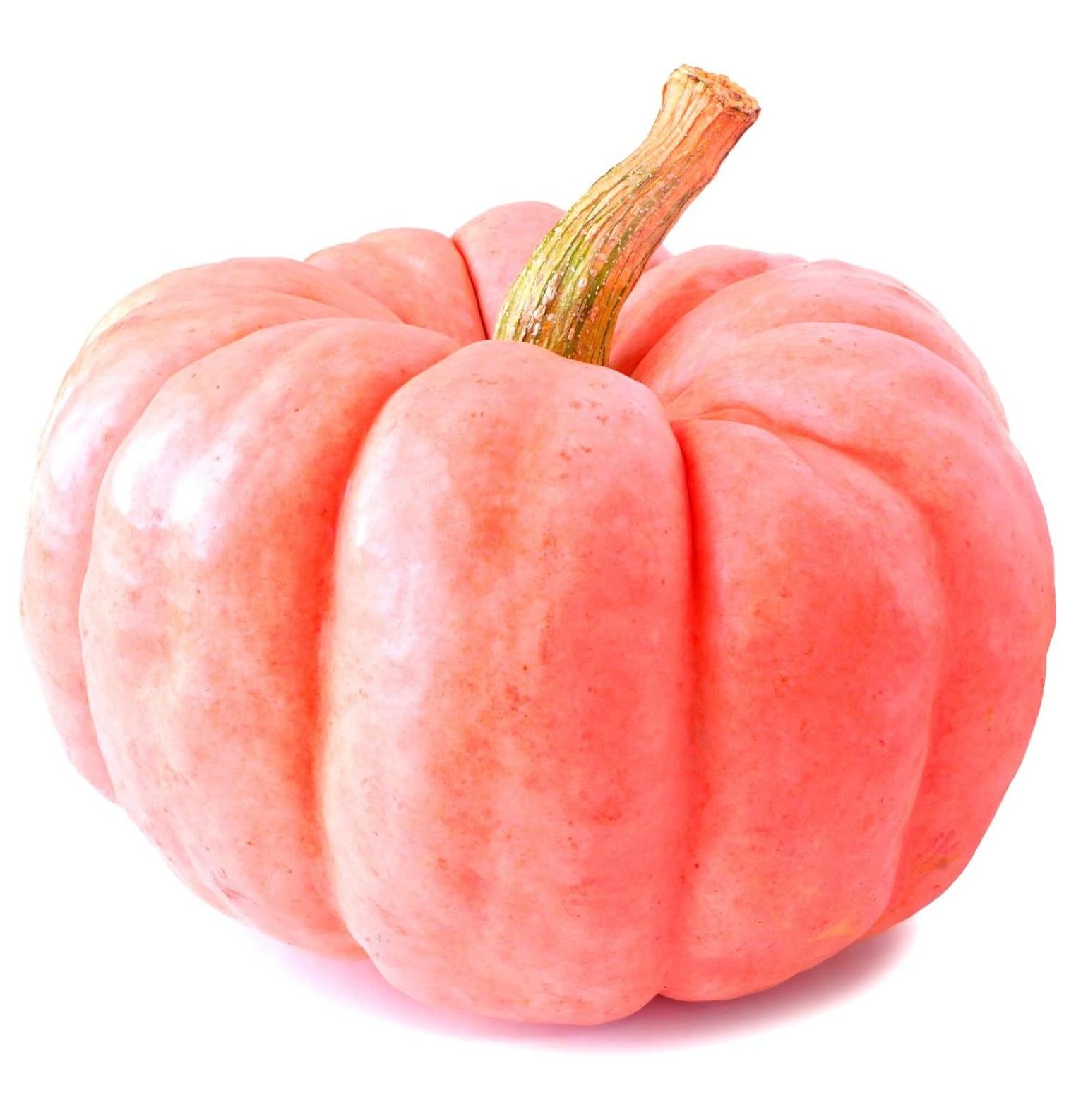 Rare Pumpkin Seeds for Planting 10 Seeds Porcelain Pumpkins