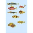 thumbnail image 1 of Rare tropical Fish of the East Indies, the Indian Ocean, Ceylon and Indonesia Poster Print by Louis  Renard (18 x 24), 1 of 1