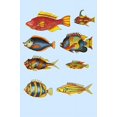 thumbnail image 1 of Rare tropical Fish of the East Indies, the Indian Ocean, Ceylon and Indonesia Poster Print by Louis  Renard (24 x 36), 1 of 1