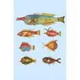 thumbnail image 1 of Rarest Curiosities of the Fish of the Indies (Plate 14)-Fine Art Canvas Print (20" x 30"), 1 of 1
