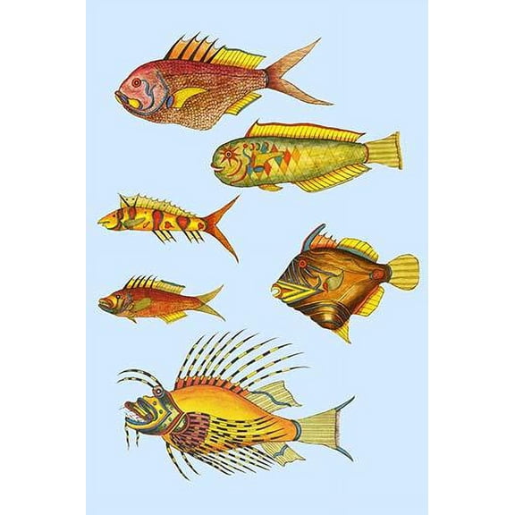 Rarest Curiosities of the Fish of the Indies (Plate 2)-Fine Art Canvas Print (20" x 30")